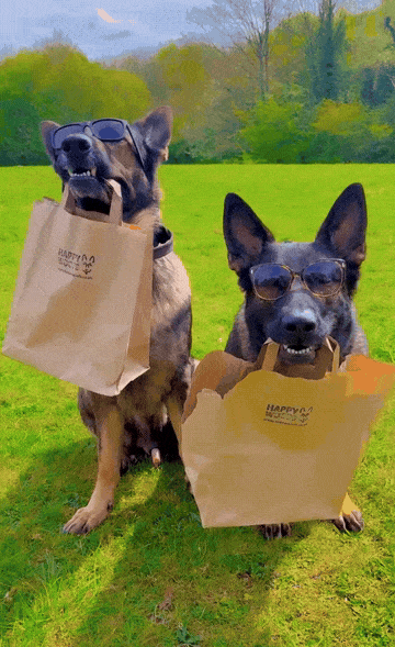 Happy Woofs dogs with treat bags